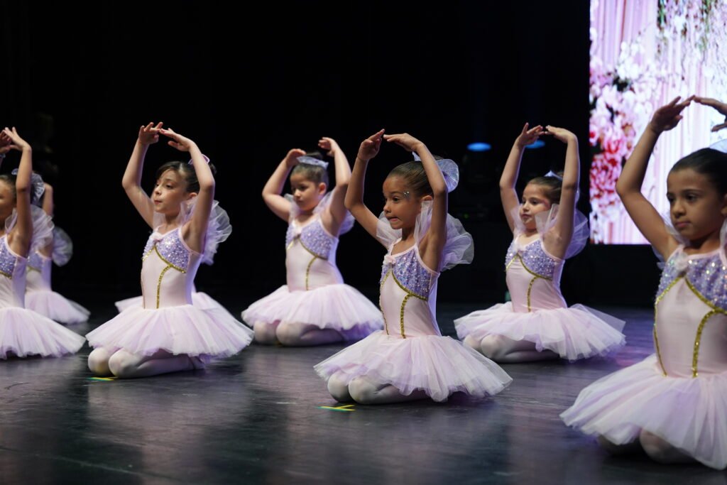 Renk Sanat Akademi VKA08700