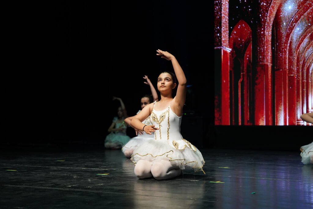 Renk Sanat Akademi VKA08974