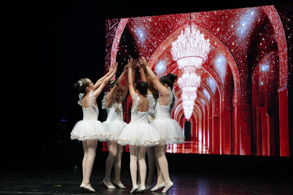 Renk Sanat Akademi VKA08991