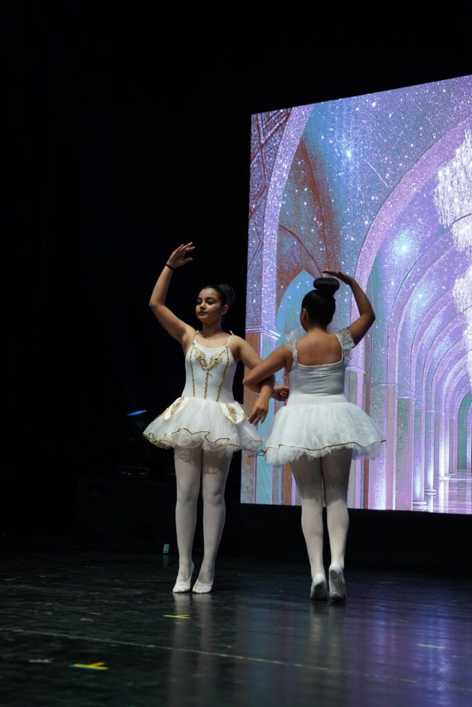 Renk Sanat Akademi VKA09021