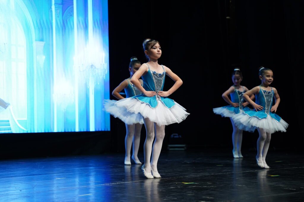 Renk Sanat Akademi VKA09252