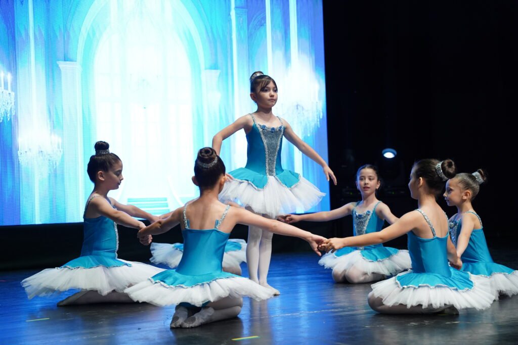 Renk Sanat Akademi VKA09274