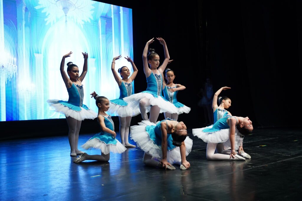 Renk Sanat Akademi VKA09373