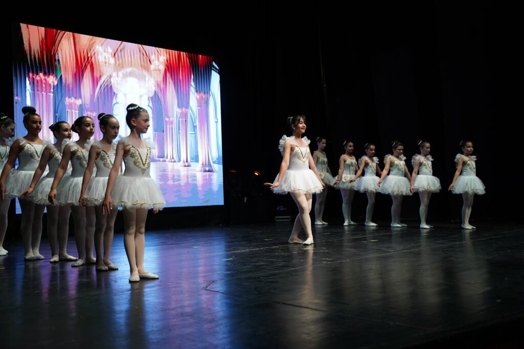 Renk Sanat Akademi VKA09413