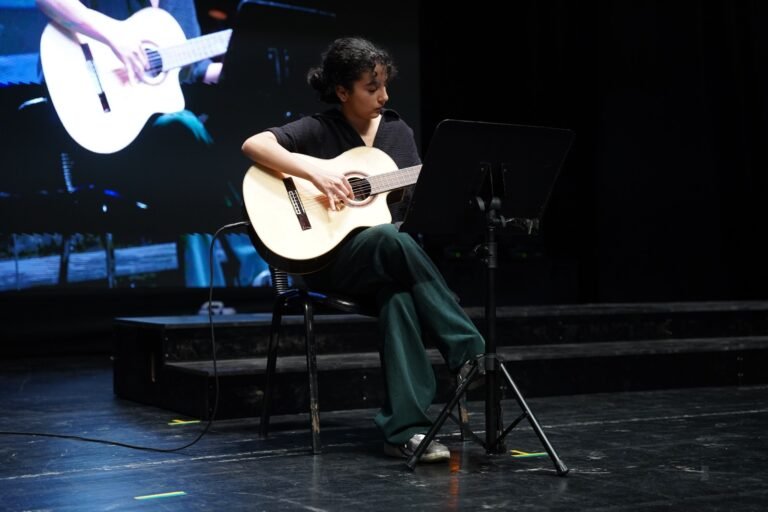 Gitar Gösterisi
